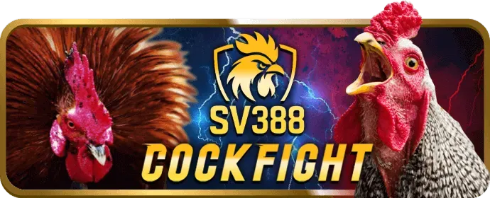 Ưu đãi chào mừng thành viên mới onbet2 nhà cái